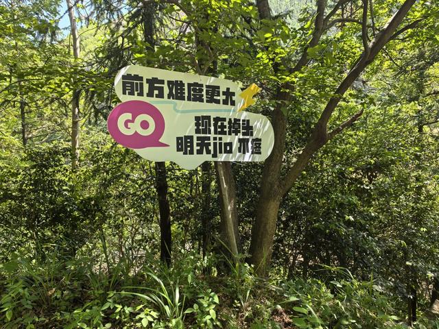 南京江宁四径山一日郊野徒步