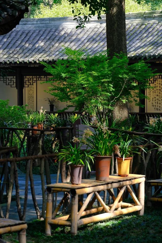 兰亭絮语｜这个立秋，在草堂赴一场夏末兰会