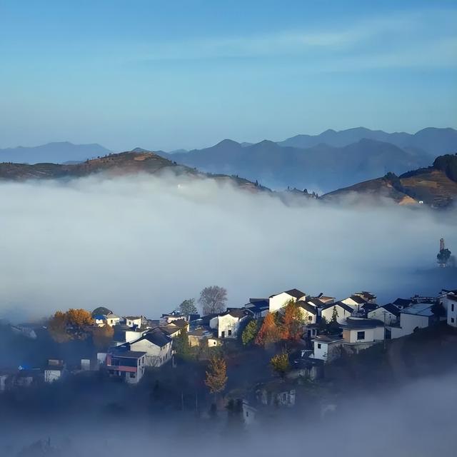 本周六，坡山露天电影院开放！云海+星空+电影，浪漫之夜免费观影丨皖美夏日
