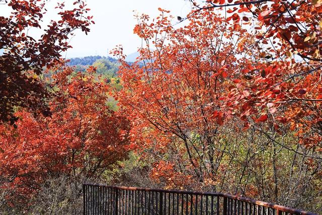 燕谷犹在，秋意正浓：李白诗里的舞彩浅山什么样？
