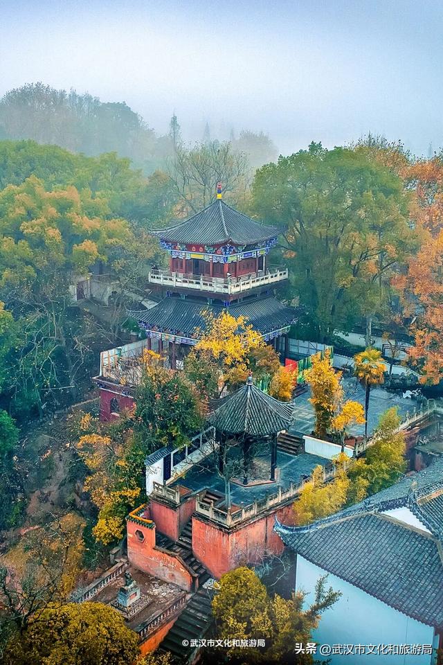 暴雨天，武汉这里排长队！