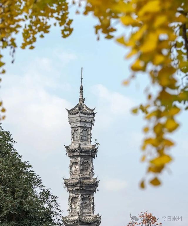 速来→崇州正上演初冬金色浪漫大片！