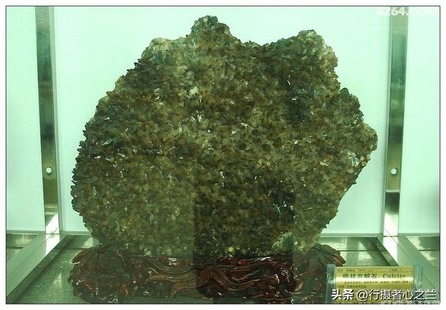 山东行游影记（31）—平邑天宇自然博物馆（六）