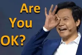 整治视频会员第一枪！小米真能藏好东西，网友：雷军才是真友军！图片