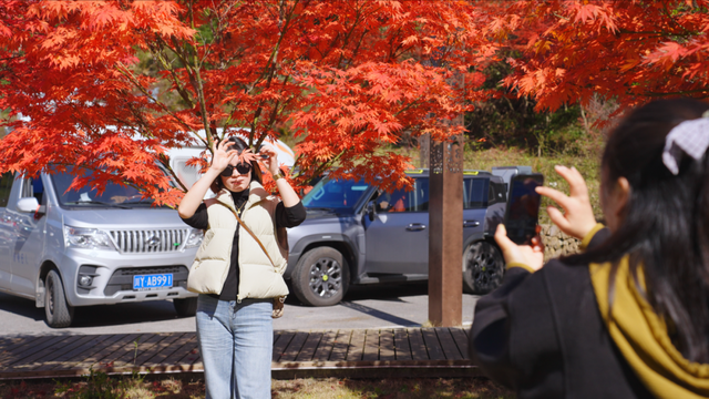 四川旺苍县红叶“高颜值”，撬动旅游“高价值”