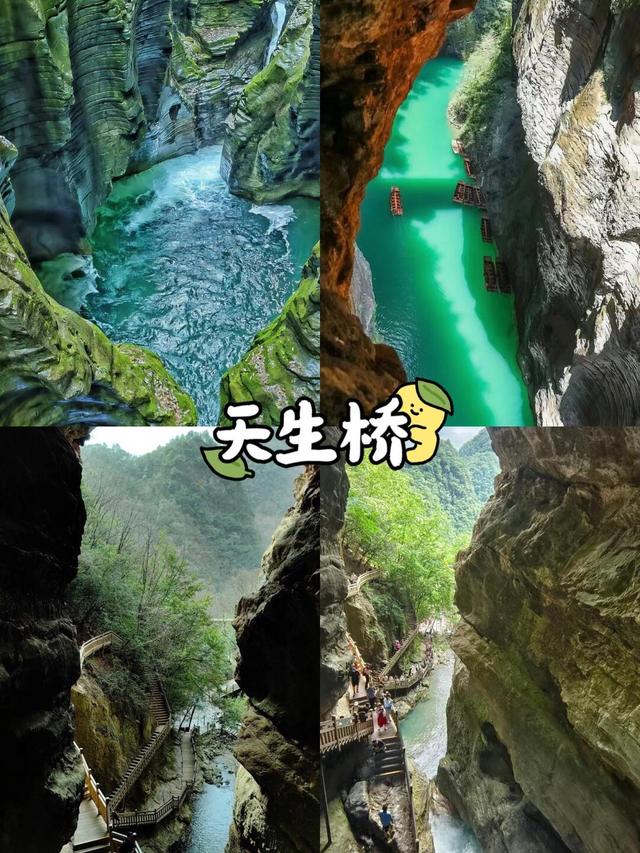 均温19℃，8-9月最清凉的6个森林公园，天然大氧吧！！
