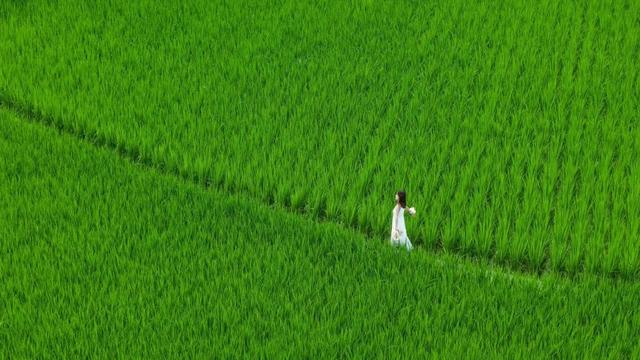 出游 │ 夏日邀您去海龙“虚度光阴”