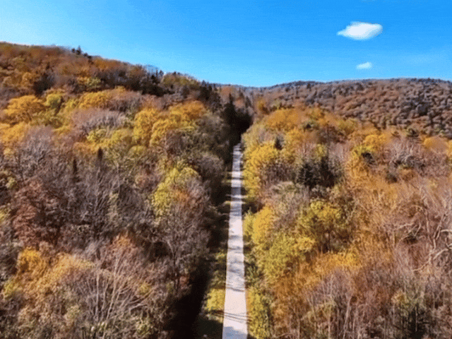 【镜头里的鸡西】鸡西这些“勾魂”美景，美到窒息！你打卡过几个？