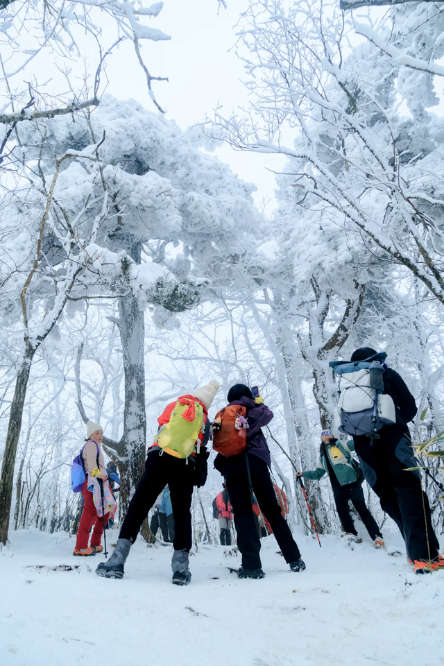 一次门票钱，免费一整年！潍坊5A级景区惠民年卡上线！