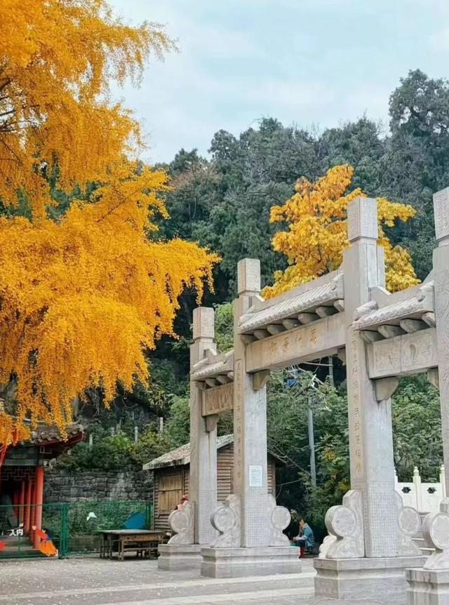 临沂人游临沂｜赶兰陵千年大集，赴一场烟火与诗意的约会