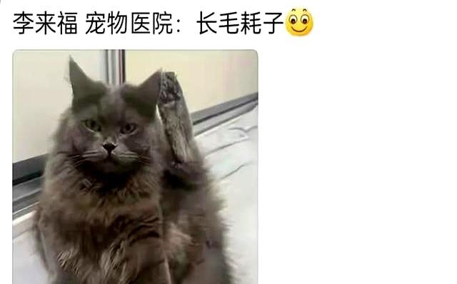 笑麻了！你的宠物有什么别致的名字？网友：你的全家桶做完了