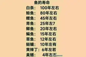 鱼的寿命是多久，看完涨知识了。图片