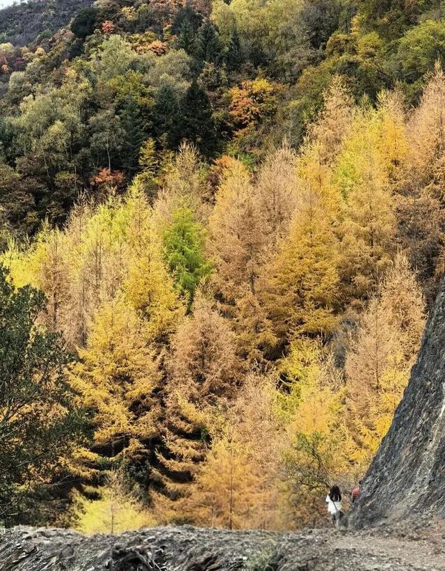 【美丽四川】平武天母湖，邂逅一场彩林与碧水的秋日盛宴‖柳红樱