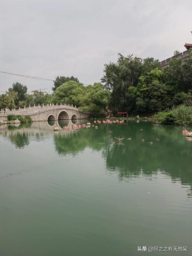 我是济南人，刚从青州回来，实在忍不住想说：对青州5点印象