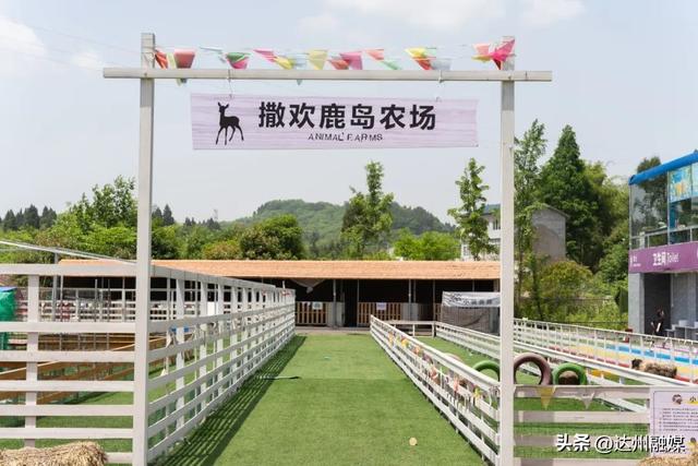 玩转渠县｜暑假进度条即将拉满！速戳→这份「漏玩指南」一键充值假期美好！