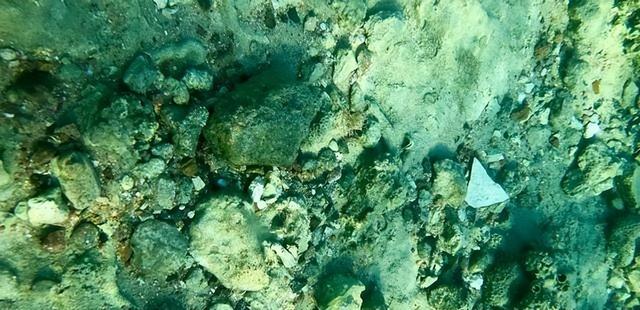 高市早苗对华正式“宣战”！马克龙转头背叛日本，特朗普告示全球