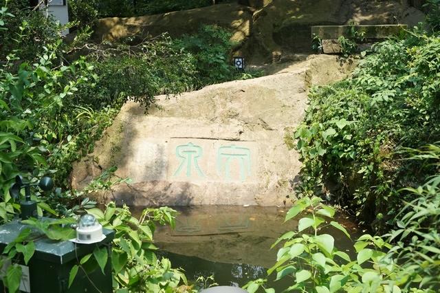 西泠镜像·印社胜迹｜西泠四泉：酷暑登孤山 泉声浸清凉