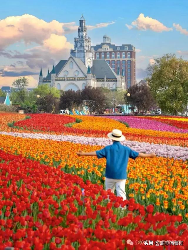 10月第5期(5天)点评