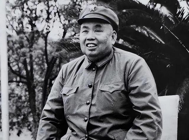 1979年，党中央抓捕许世友儿子，许世友得知后：一定要枪毙！