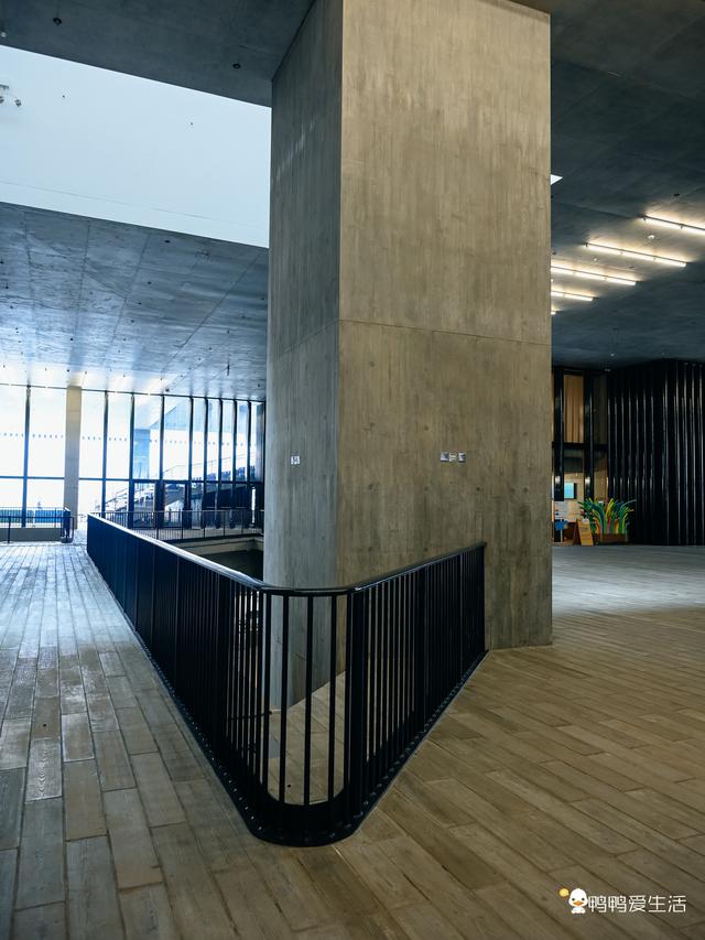 跟着全运会去旅游，来香港打卡亚洲首个全球性当代视觉文化博物馆