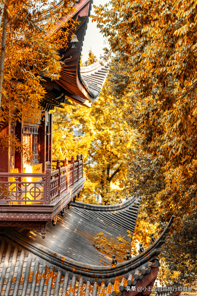 杭州秋季疯了！6大景点+3天2夜暴走攻略，错过等一年！