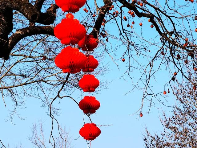 来体验，你没见过的小镇四季！