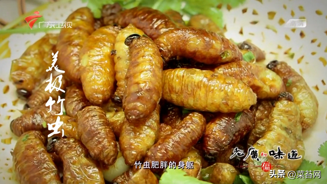 老广的味道 鱼肚花胶是哪期 老广的味道第五季鱼露