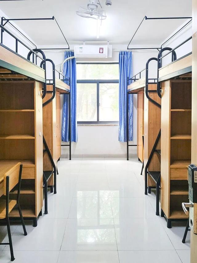 国庆去哪玩？上海成“热门选择”，这所大学值得打卡！