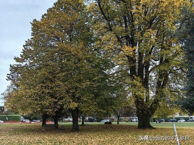 温哥华游记（五）