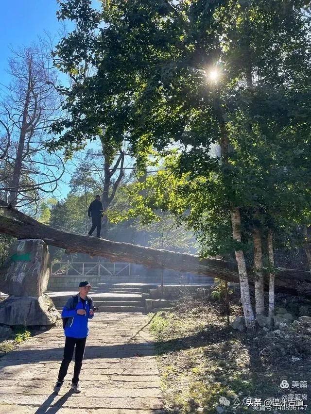 醉美林坑晒秋！这条连接两个避世古村落的省一级古道，周末可走起