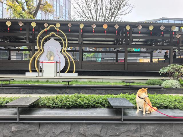 成都旮旮旯旯之5——福感肆