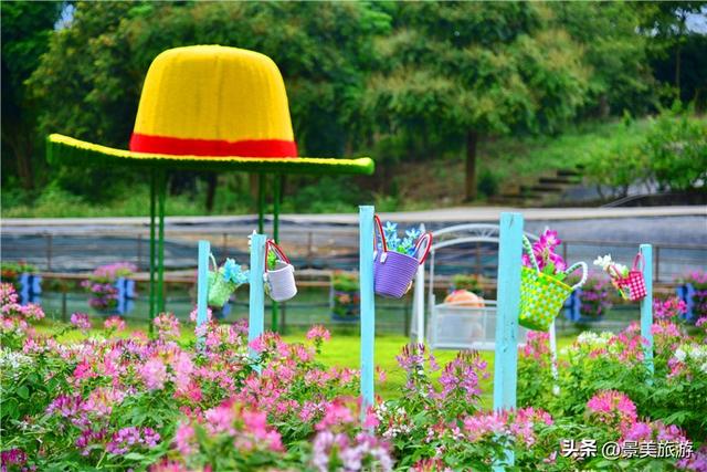 国庆相约卡玛花世界：花海中邂逅秋日浪漫，花篮小径中留下倩影
