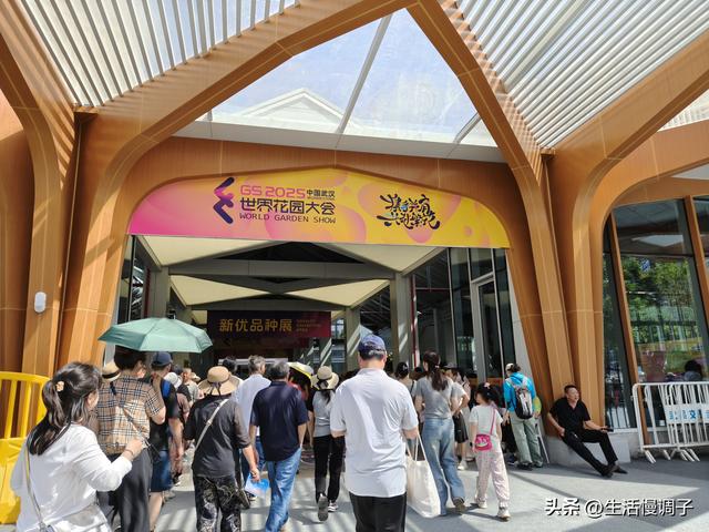 武汉十二月——一月一帧藏走过2025的四季光影