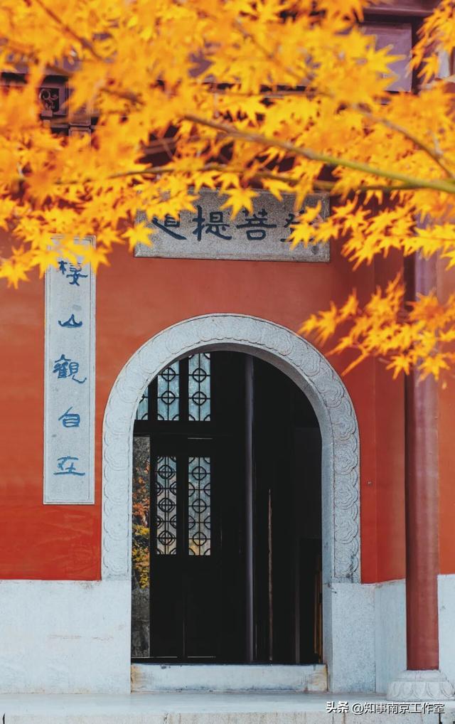 51张照片告诉你，南京的秋天有多美！