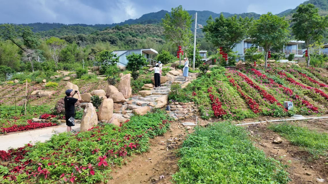 藏不住了！肇庆这个宝藏小镇，要火了!