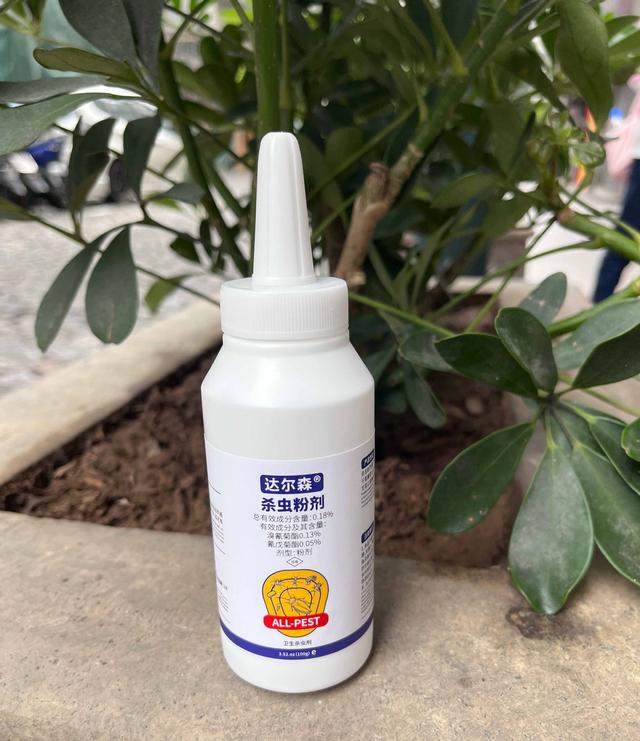 蚂蚁怕啥怎样灭蚂蚁：揭秘蚂蚁的克星消灭法门