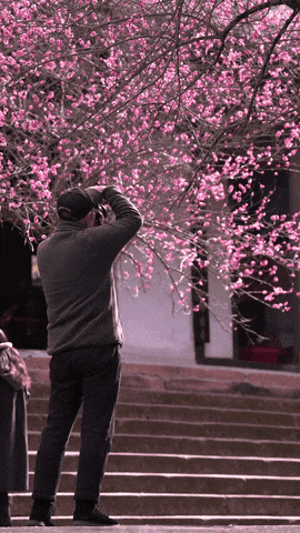 观音寺，太出片了！