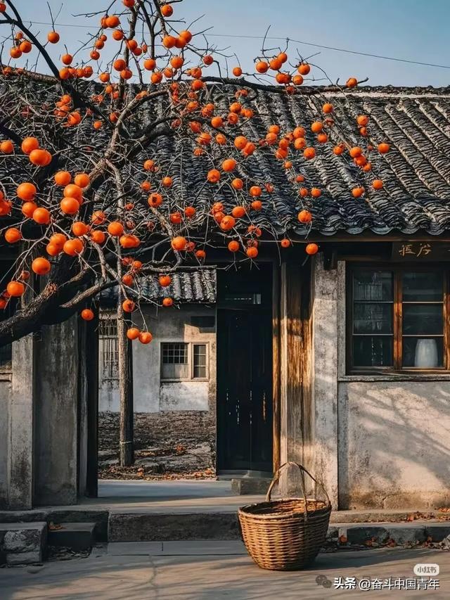 山河故村:郭村泰山庙杂忆