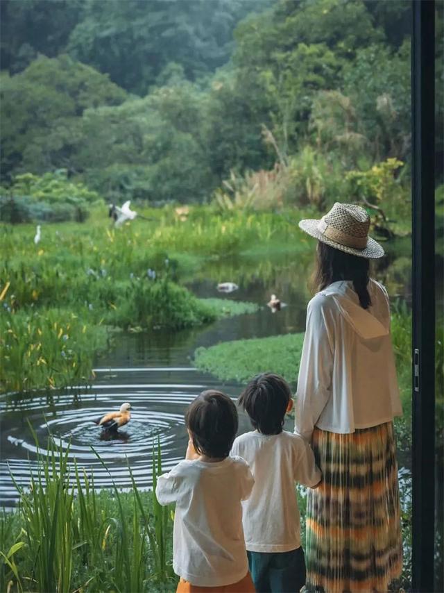 沉浸式拥抱23℃夏！这几个神仙地，舒适度爆表！