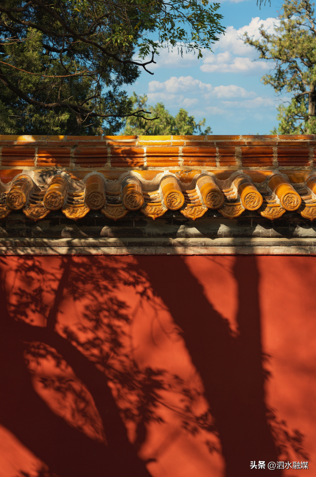 咔嚓🤳！抓住济宁秋天的“小尾巴”~