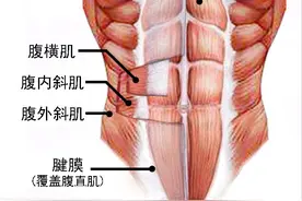怎么练出六块腹肌？3个练腹要点，附：一组腹肌动图图片