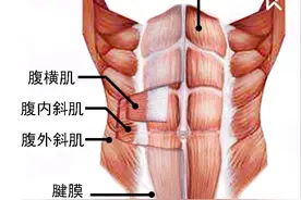 怎么练出六块腹肌？3个练腹要点，附：一组腹肌动图图片