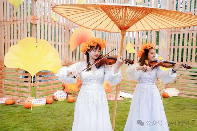 浪漫启幕！将持续至12月