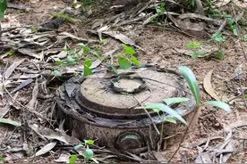 脚踩120万枚地雷，清理最少要4000年，非洲人用笨办法搞定图片
