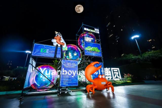 2025国际红树林之夜启幕，邀您共赴生态盛宴！