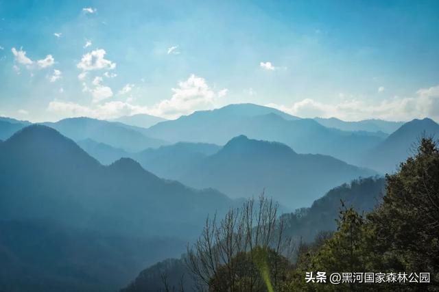 清风带凉意,最美是初秋,一键解锁黑河山水间的治愈美景!
