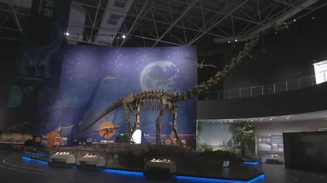 免费开放！河北地质大学博物馆新馆试运行