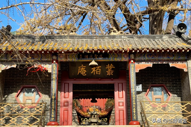 好客山东好品山东| 临沂的秋天，这10处绝美打卡地别错过！先收藏慢慢逛~