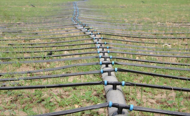 月薪8000留不住人，牧民靠万亩草场维生，新疆的上限下限超乎想象