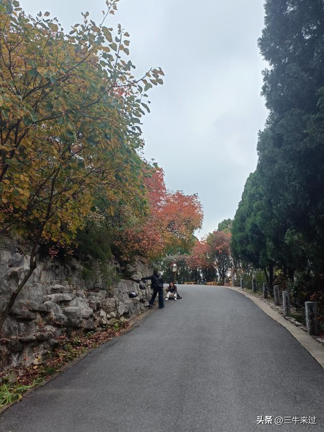 无为在歧路，济南红叶谷